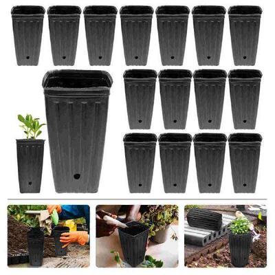 30 Pcs Nursery Cup Fruit Planting Flower Growing Daisy