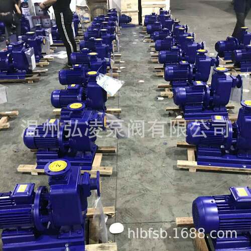 ZWL型直联自吸式无堵塞排污泵卧式自吸泵自吸污水泵