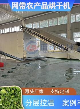 大型蔬菜烘干设备小葱蒜苗苦瓜茄子姜片干燥机网带农产品烘干机