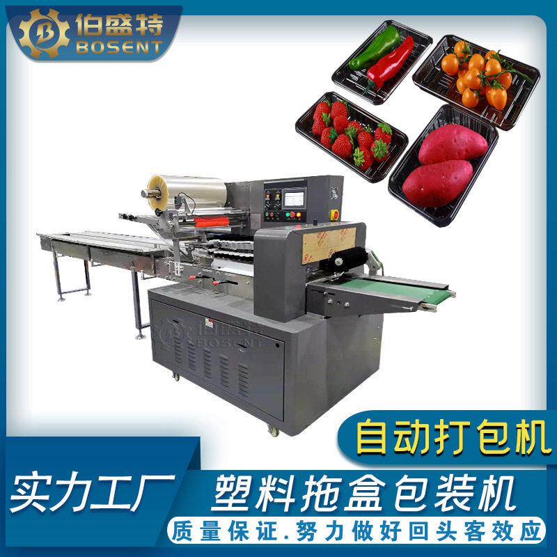 枕式包装机器冷冻食品OPP独立外袋打包牛肉丸牛排水蛋饺饺打包机