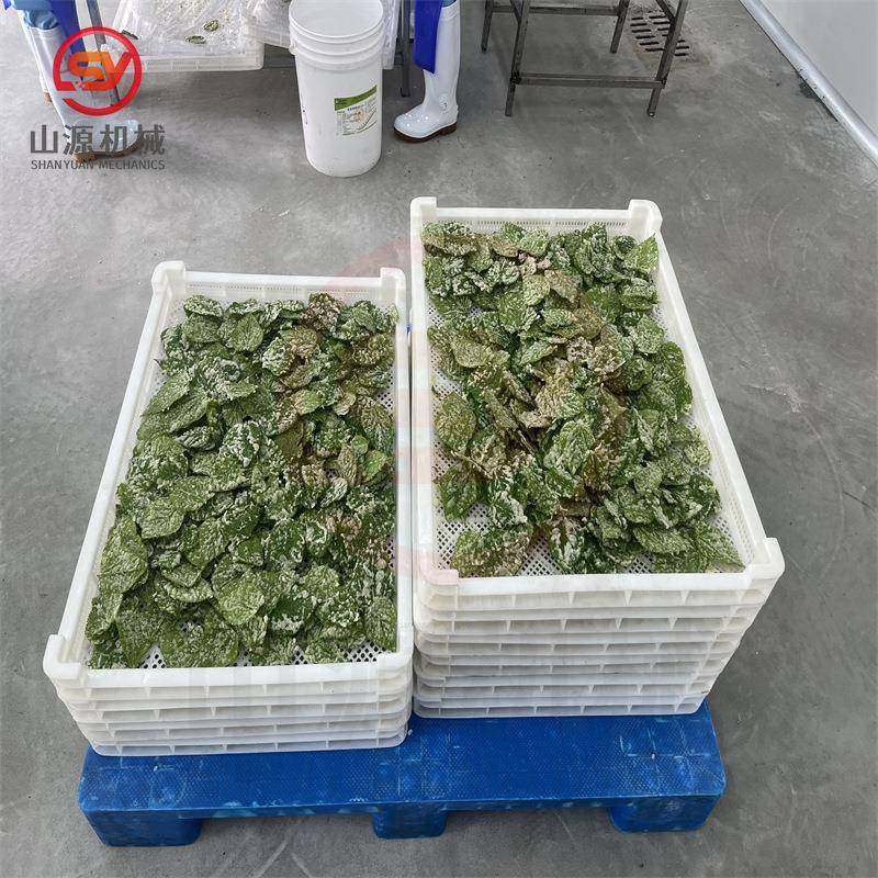 800型翠叶油炸机 天妇罗产品裹浆设备 香酥翠叶上浆油炸流水线