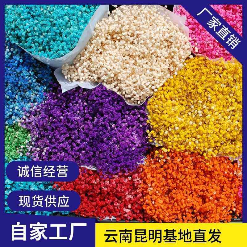 满天星干花永生花diy手工材料厂家家居装饰插花花束