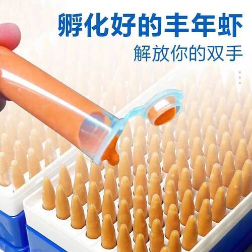 大红鹦卵开丰年虾冰冻丰年虾卵浓幼虫小型鱼迷IXV你超鹉鱼营养口