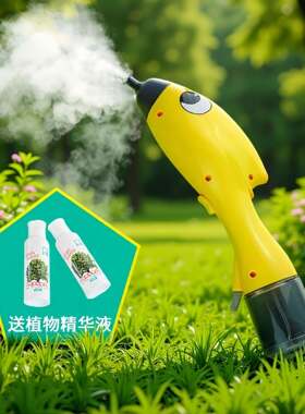 商用蒸汽酒店设备小蜜蜂汽车桑拿雾化机厂家直销汽车蒸汽清洁机