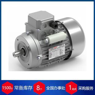 供应意大利BER MAR异步电动机