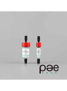 PC003:Ni NTA-μSphere预装柱,1ml5ml直连AKTA等,His tag标签蛋白