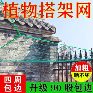 植物爬藤网百香果葡萄爬藤网菊花网搭架网豆角苦瓜攀爬网丝瓜爬网