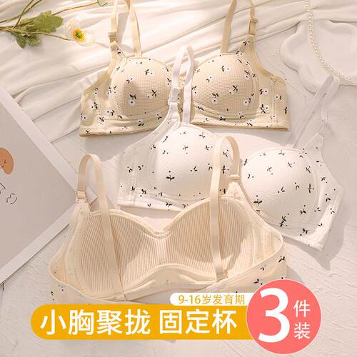 少女内衣无钢圈女大学生高中生髪育文胸青春期小胸聚拢收副乳胸罩