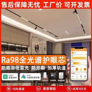 導軌射燈 智能磁吸軌道燈語音無極調光色組合套餐客廳無主燈嵌入式