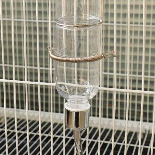 Stainless Steel Spring Metal Springs with 2 Clips for Small