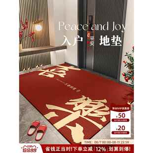 入户门口外地垫耐脏免洗入户地垫2026新款高级感进门大门口耐脏防