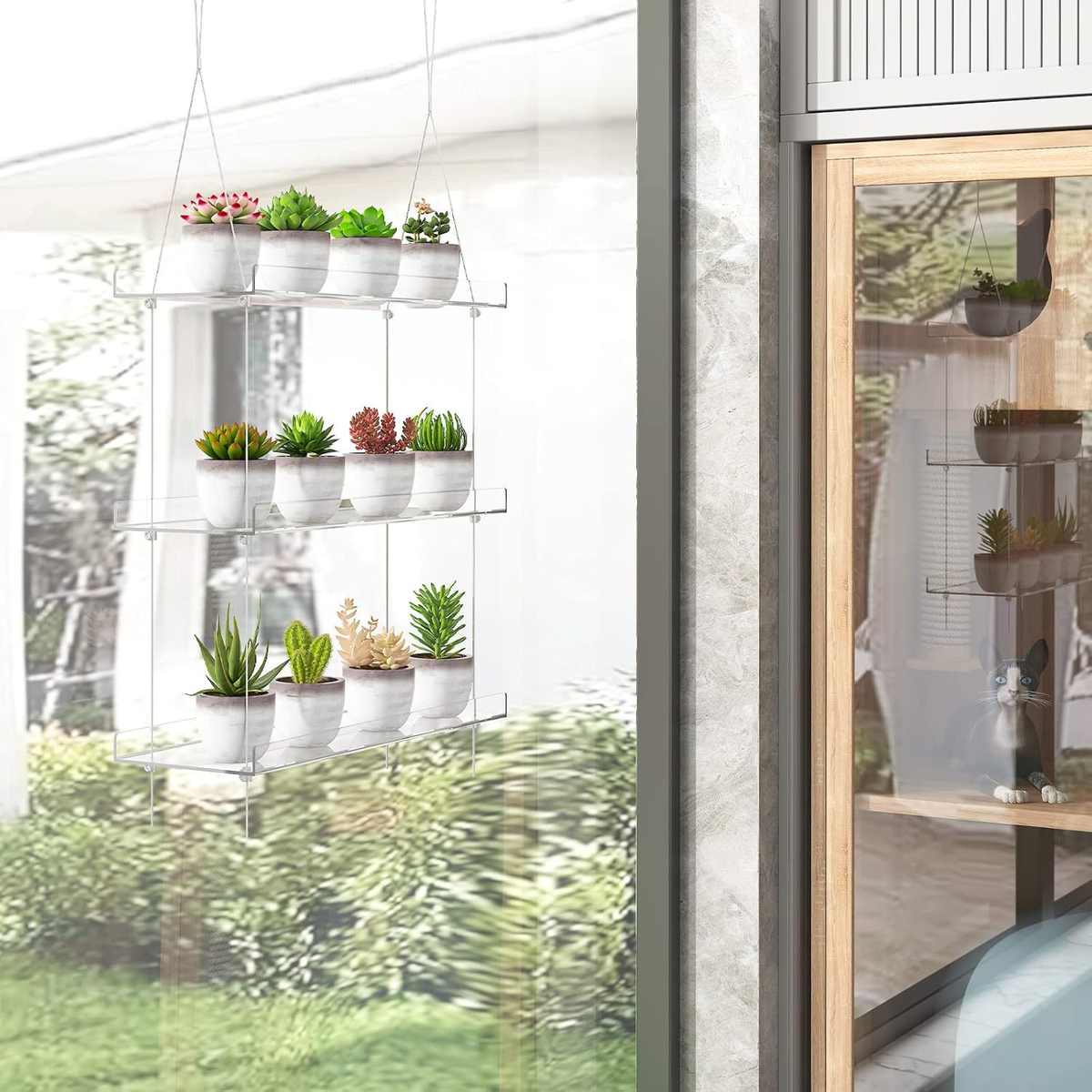 亚克力透明植物架高度可调悬挂室内壁挂植物支架花盆收纳展示支架