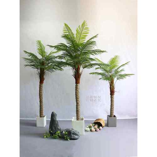 模拟椰树室内绿化热带绿色植物假椰树大型盆栽植物装饰酒店落地假