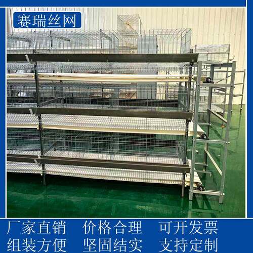 蛋鸡笼笼具立式蛋鸡笼冷镀锌鸡笼鸡笼厂家