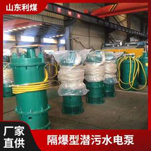 BQS60-60-22排污排沙潜水电泵供应BQW矿用隔爆型排污潜水泵