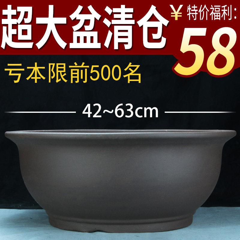 特大号紫砂花盆种树老桩清仓特价40cm以上超大种发财树铁树陶瓷盆