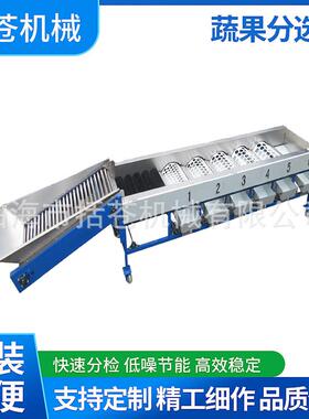 新爆款沃柑砂糖橘柑橘自动上料斗提升清洁分级机耗电小移动方便