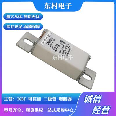 全新熔断器170M1806170M1807170M1808170M1809现货