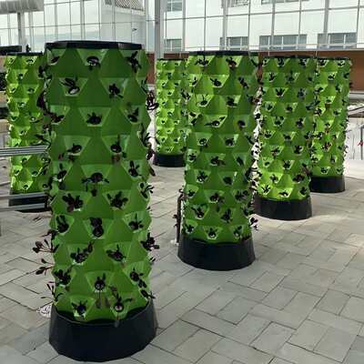 水培菠萝塔立体种植系统 塑料NFT水培塔 家庭阳台无土栽培设备