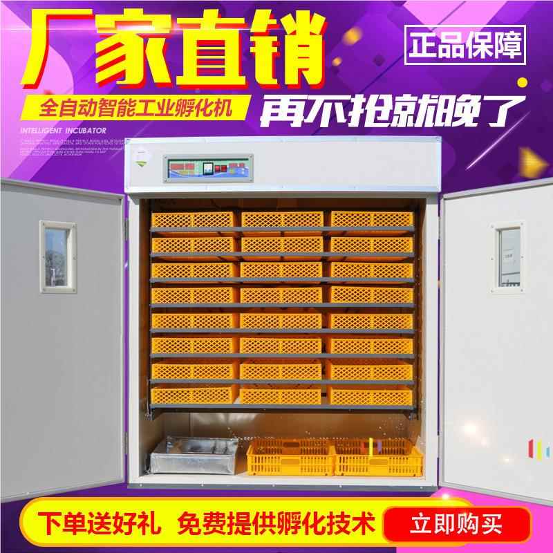 5280蛋枚全自中动小型孵化鸡鸭孵化器 机家禽孵器 小型鸡蛋孵化箱