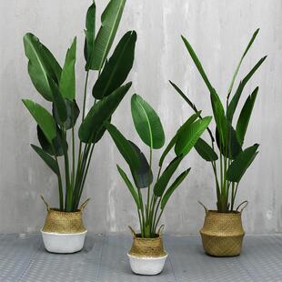 仿真绿植旅人蕉假花仿真花摆设室内客厅直播间装饰北欧风落地摆件