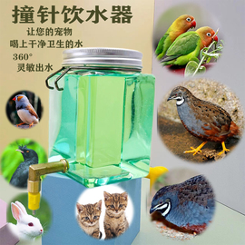 芦丁鸡撞针水壶猫咪兔子龙猫鸟类鹦鹉八哥宠物自动饮水器芙蓉鸟