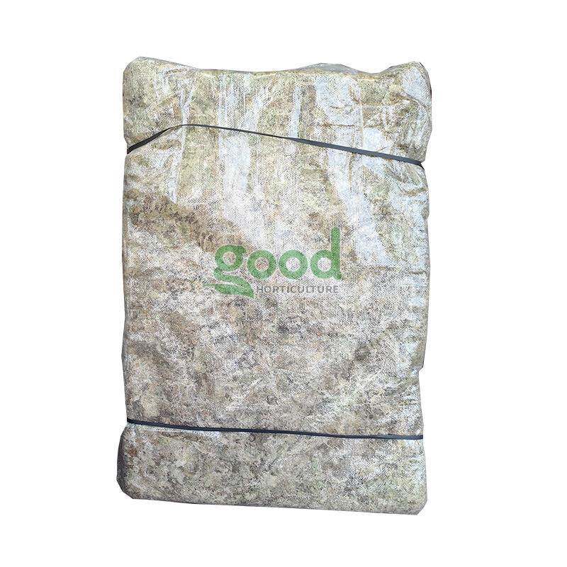 新款直销国产水草水苔贵州海草花蝴蝶兰成苗栽培10KGH