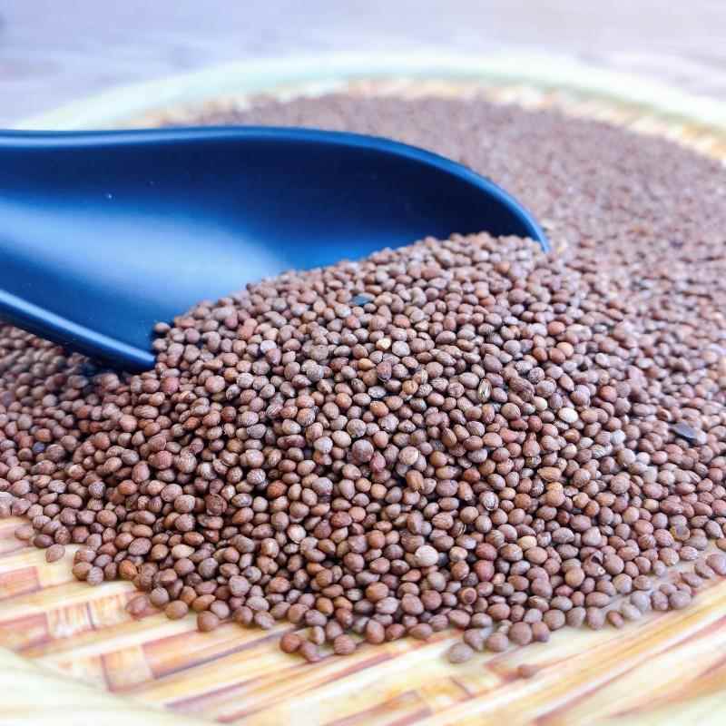 延边朝鲜族紫苏粒新货500g食用苏子籽调料月饼馅料烧烤料苏子熟粒