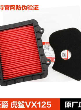 适用豪爵踏板摩托车虎鲨VX125 HJ125T-52空滤CVT离合器冷却滤芯