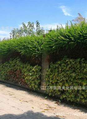 厂家现货钢结构植物墙真植物围挡墙绿色生态施工围蔽绿植围挡