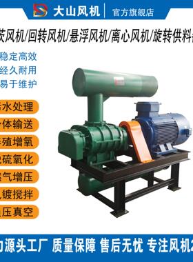 HCHZ回转旋转DSSR不锈钢碳钢三叶罗茨风机供料器蜗壳离心工业高压
