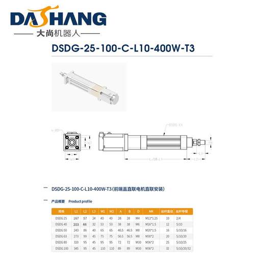 DSDG-25-100-C-L10-400W-T工业机器人自动化精密高速滑台导轨