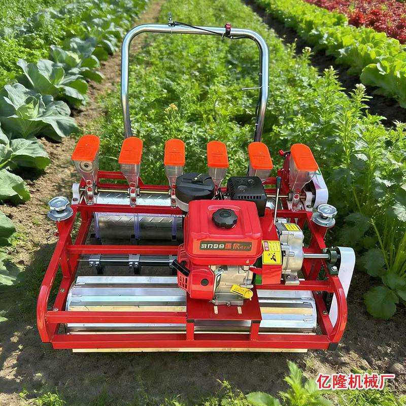 汽油香菜菠菜芹菜播种机 柴胡防风桔梗种植机 人参白术柠条点播机