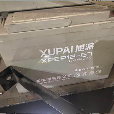 旭派6-XPEP-67蓄电池6-EVF-58/3HR电动洗地车叉车6-DMF58动力电瓶