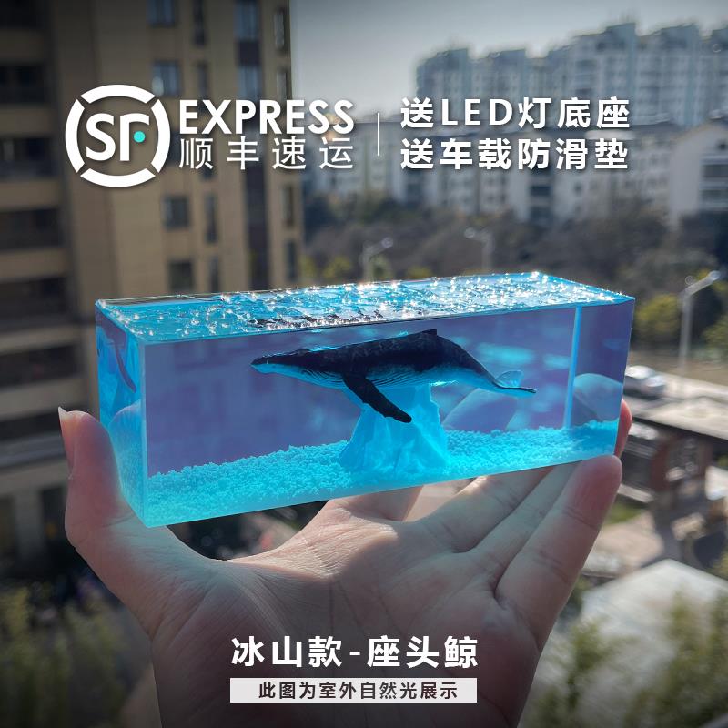 新款ALLU BLE树脂蓝鲸鱼鲸鲨滴胶艺汽车摆件载饰品创车工意生日礼