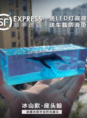 高档A意LL LUE树脂蓝鲸鱼鲸鲨滴胶工艺车摆B件汽车饰品创生日礼汽
