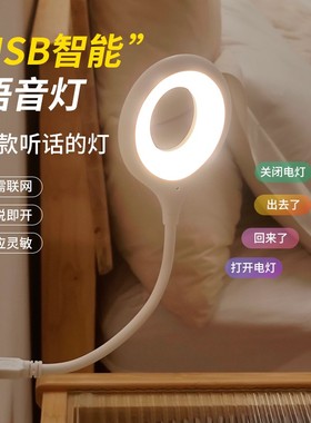 人工智能语音控制小夜灯声控卧室睡眠感应床头灯USB台灯家用氛围