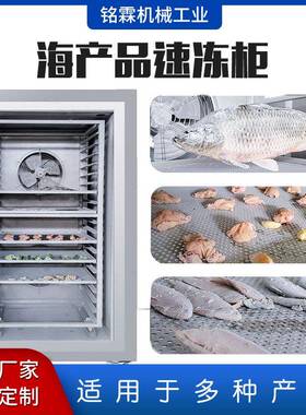速冻机商用冰箱急冻冰柜超低温冷柜小型冷冻库插盘式制冰机大容量