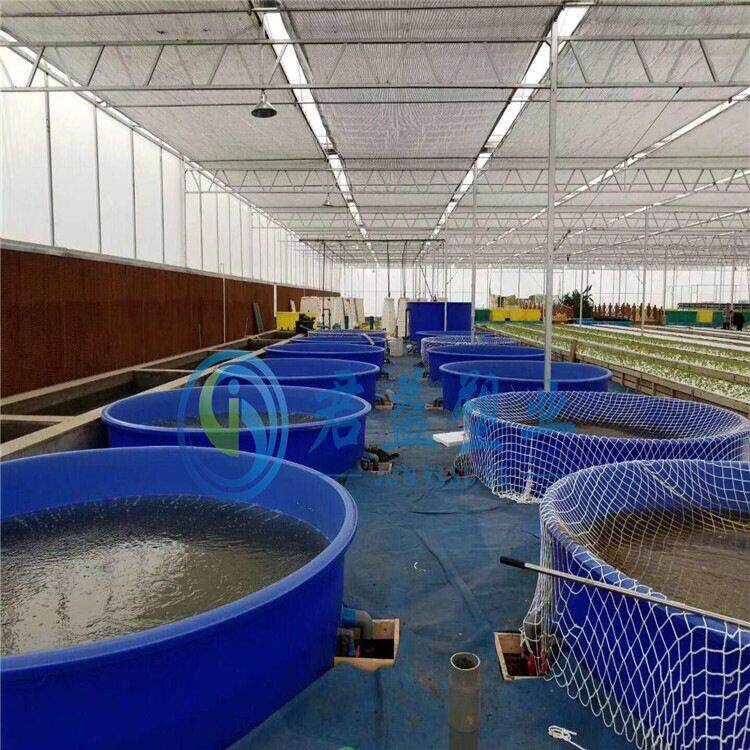 制作虾苗车间化养殖桶观赏鱼孵化桶PE大型养殖池