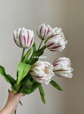 重瓣郁金香·梦鹿彷真花 保湿手感带香氛白色假花客厅桌面装饰品
