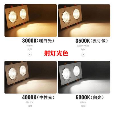双头筒led嵌入式长方形无主家用cob斗胆格栅黑色射20*10孔