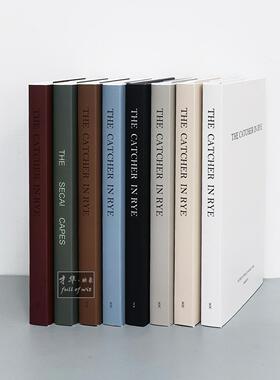 现代简约外文装饰真书样板房书柜玄关桌面摄影彷真道具假书摆件