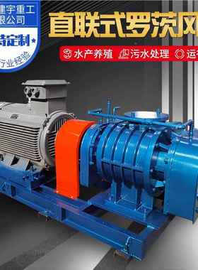 PMQ风功率大运转平稳直连风式罗茨机 污殖水处理水产养增氧机罗茨