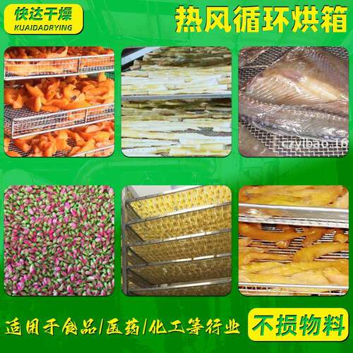 橡胶羊肉双开门热风循环循烘箱化剂145真空干燥箱洋蓟热风环烘催