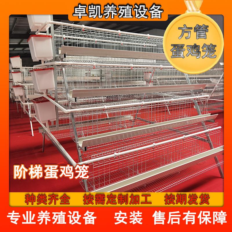 方管阶梯蛋鸡笼易清理提拉门三层四层白槽养鸡场加厚不塌陷