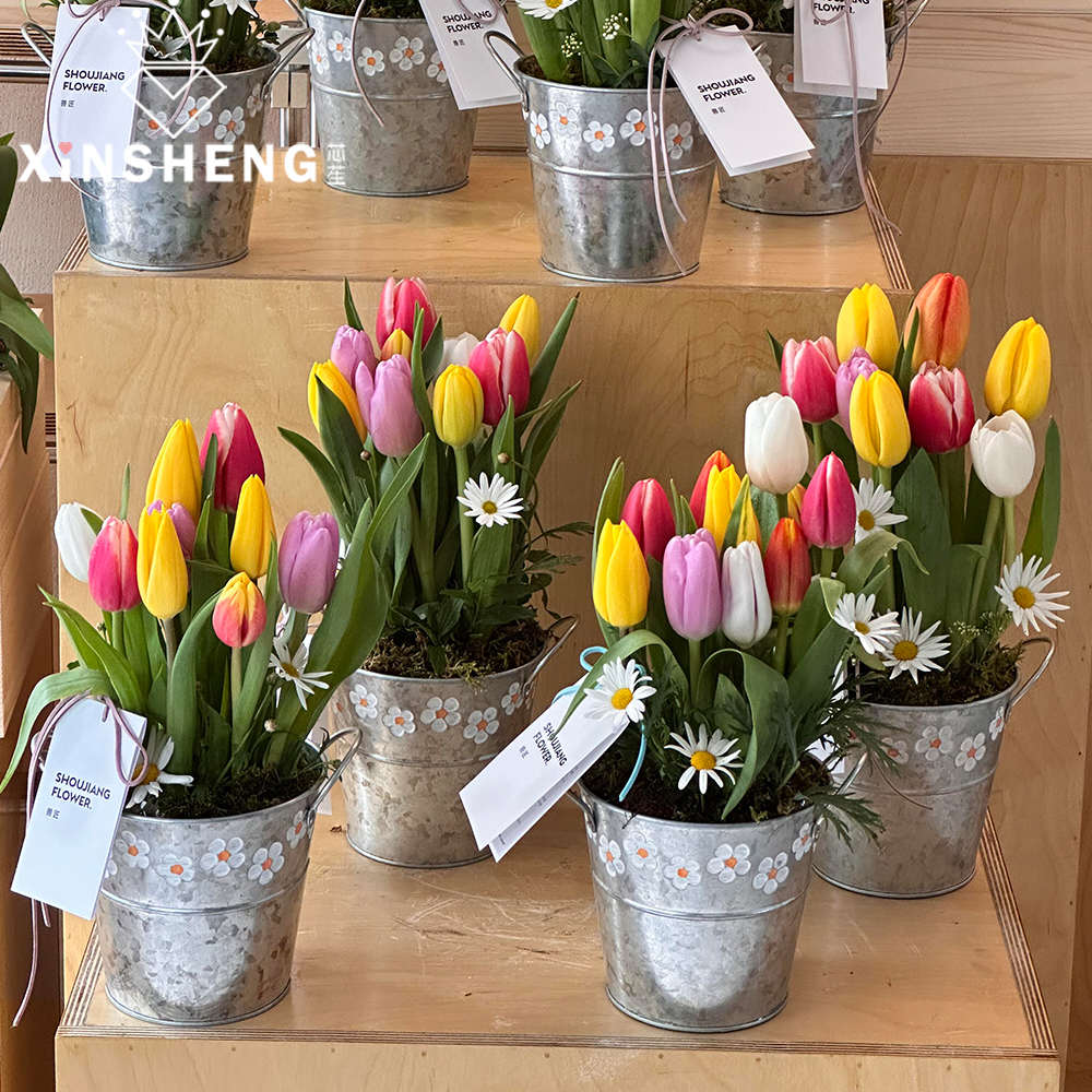 【母亲节新品】芯苼 复古铁艺花盆鲜花花束插花盆手工diy花艺资材