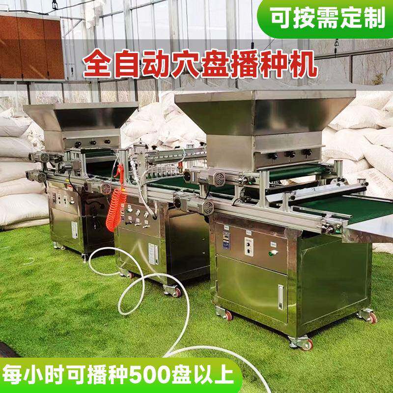 全动高精SSL准红柿蔬菜苗育机西自自动穴盘播种机厂家