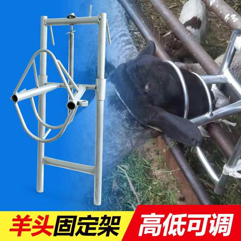 升降羊头固定架剪羊毛架子羊用固定器打针保定架挤羊奶推毛羊笼头