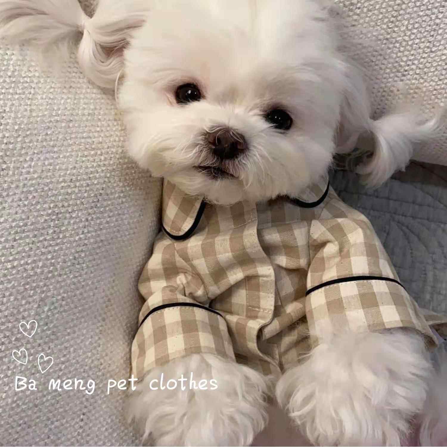韩版宠物衣服幼犬小猫咪狗狗睡衣泰迪比熊雪纳瑞博美小型犬春夏装