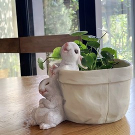 口袋小兔子花器多肉花盆，萌可爱花园，装饰桌面摆件创意礼物品阳台
